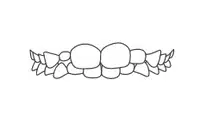 Decorative dental banner with two tooth illustrations flanked by leaf designs on white background.
